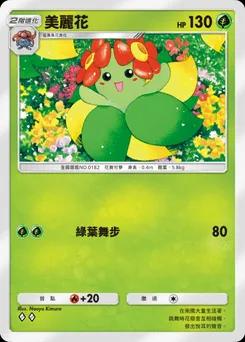 美麗花