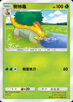 樹林龜