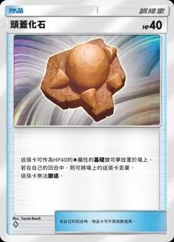 頭蓋化石
