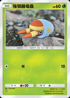 強顎雞母蟲
