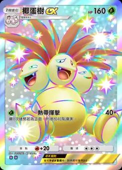 椰蛋樹 ex