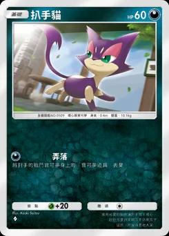 扒手貓