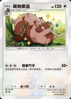 藏飽栗鼠
