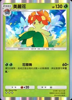 美麗花