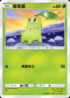 菊草葉