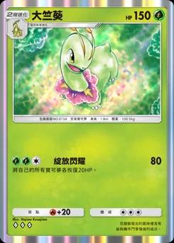 大菊花