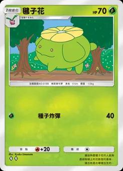毽子花