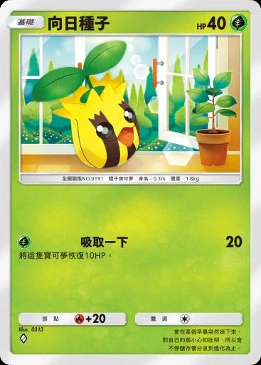 向日種子