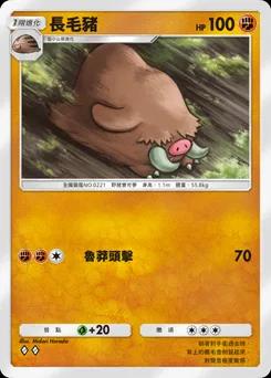 長毛豬