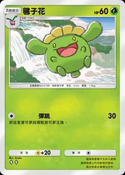 毽子花