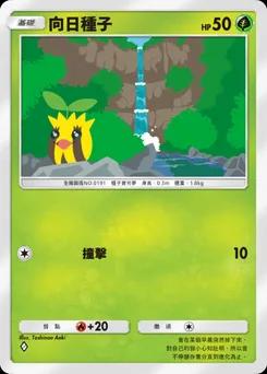 向日種子