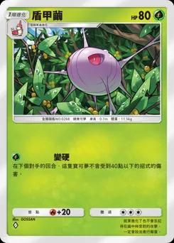 盾甲繭 B1-006
