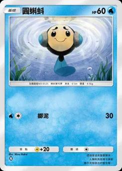 圓蝌蚪 B1-063