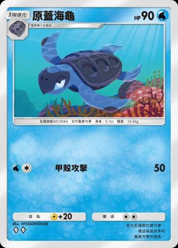 原蓋海龜