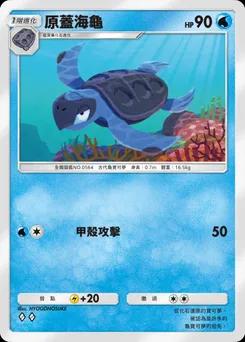 原蓋海龜 B1-066