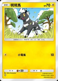斑斑馬 B1-090