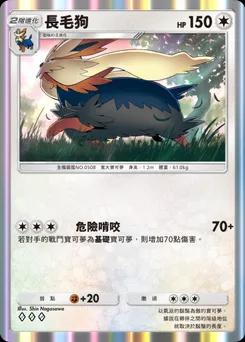 長毛狗 B1-203