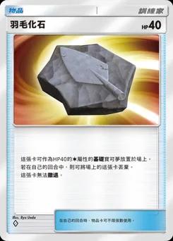 羽毛化石 B1-214