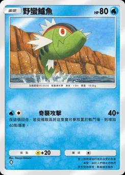 野蠻鱸魚 B1a-021