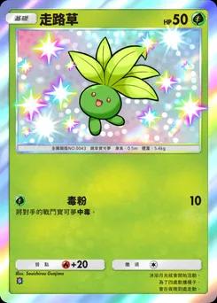 走路草 B1a-088