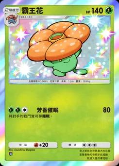 霸王花 B1a-090