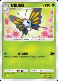 狩獵鳳蝶