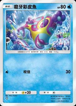 磨牙彩皮魚