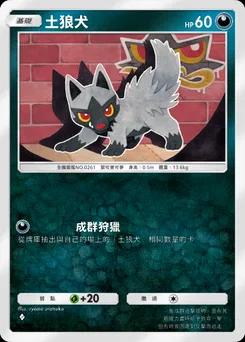 土狼犬