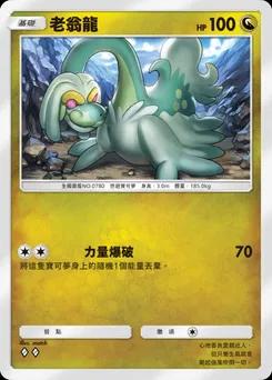 老翁龍