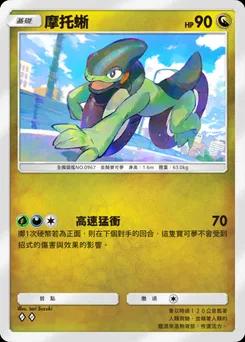 摩托蜥