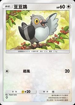 豆豆鴿