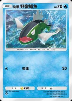 洗翠的野蠻鱸魚