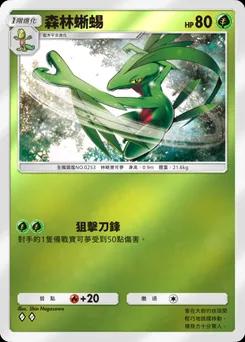 森林蜥蜴