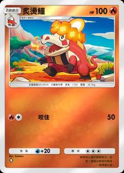炙燙鱷