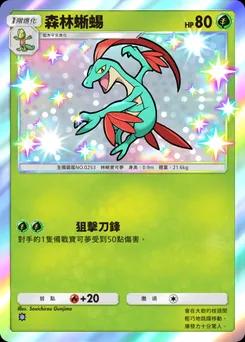 森林蜥蜴 C1-189