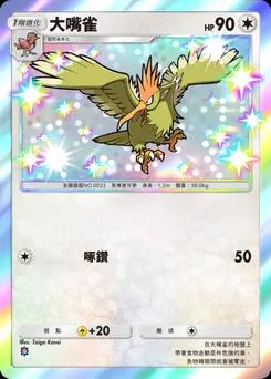 大嘴雀 C1-204
