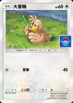 大蔥鴨 P-A-062