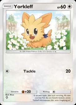 Lillipup
