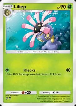 Liliep