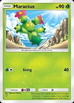 Maractus