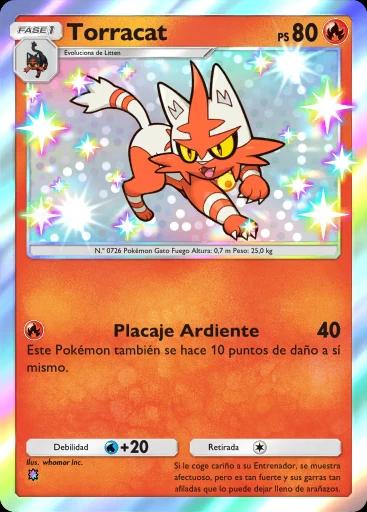Torracat