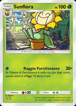 Sunflora