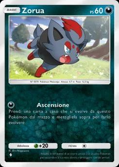 Zorua