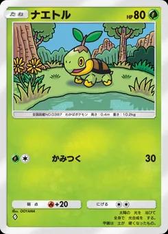 ナエトル