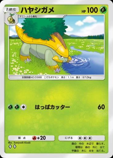 ハヤシガメ