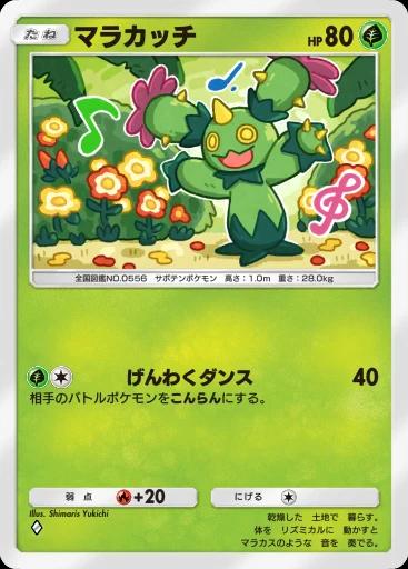 マラカッチ