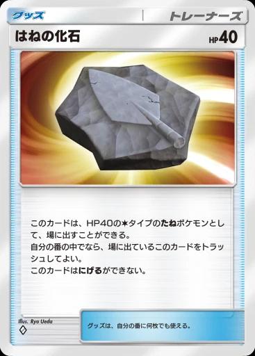 はねの化石