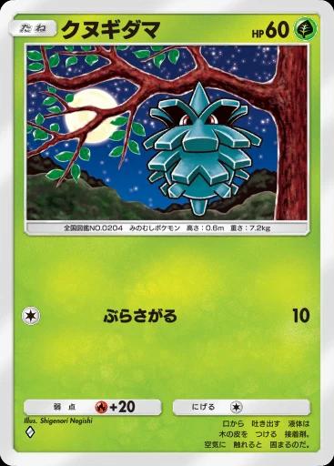 クヌギダマ