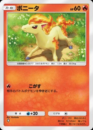 ポニータ