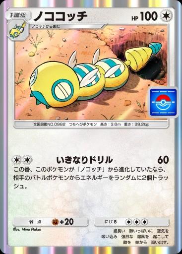 ノココッチ